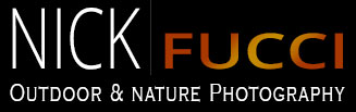 Nick Fucci Outdoor & Nature Photography - Photo Tours